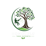 Honolulu_Logo