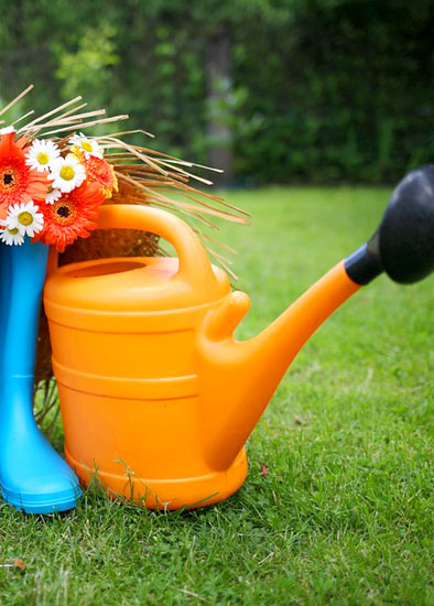 gardening tools.jpg