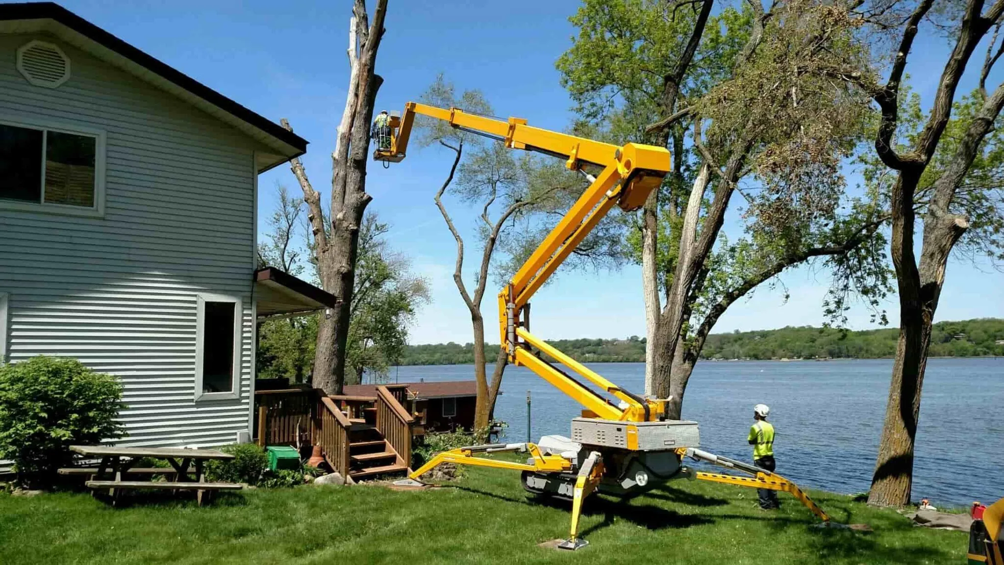 Tree Pruning Company in Honolulu